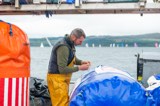 lodestar whyw23 thur 800  ad